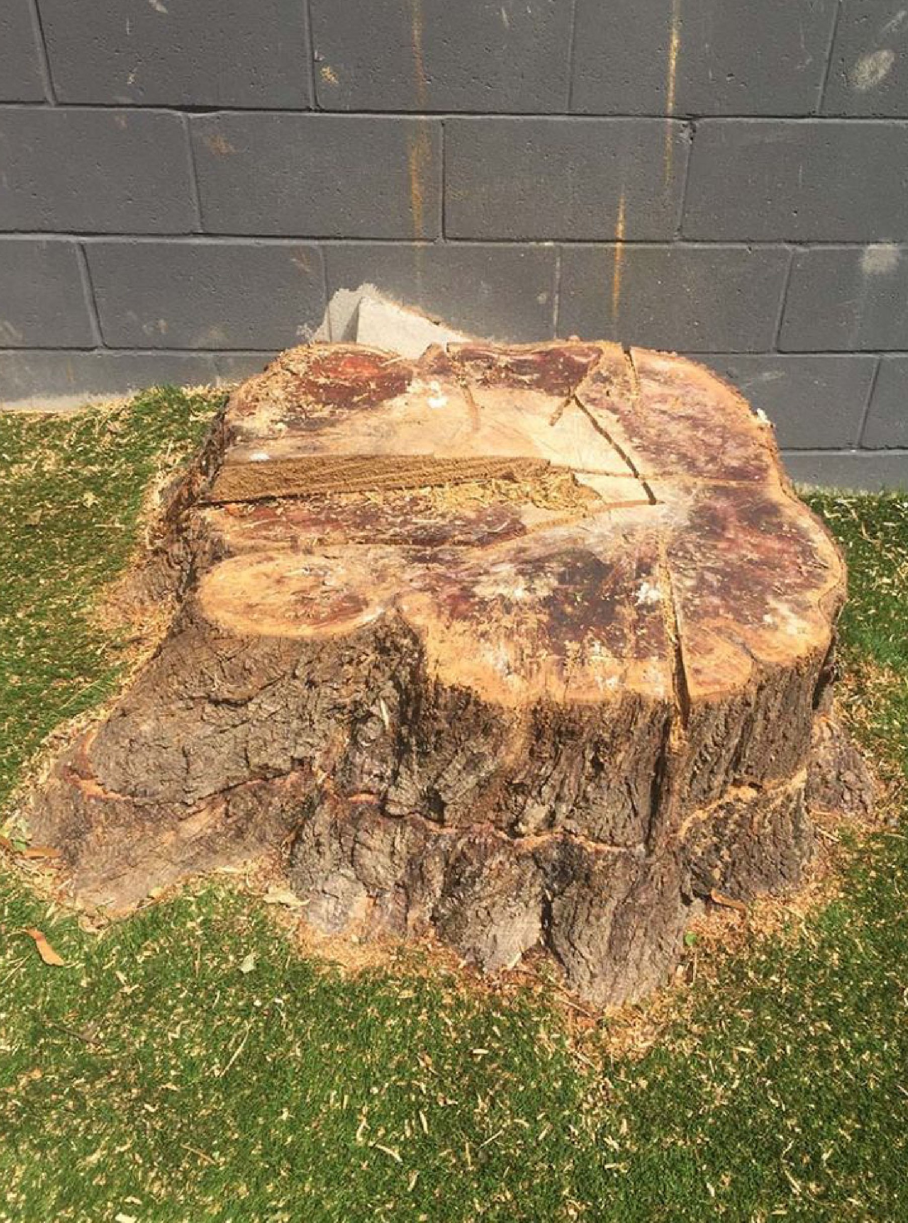 Stump Removal: Guide and Best Practices